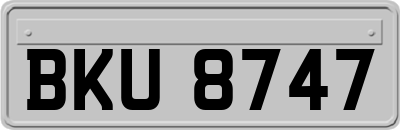 BKU8747