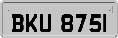 BKU8751