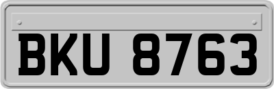 BKU8763