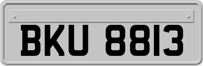 BKU8813