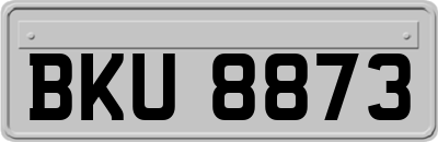 BKU8873
