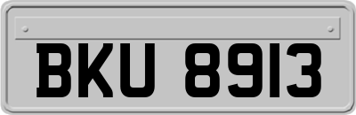 BKU8913