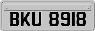 BKU8918