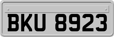 BKU8923