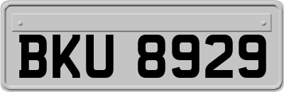 BKU8929