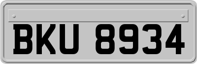BKU8934