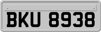 BKU8938