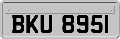 BKU8951
