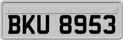 BKU8953