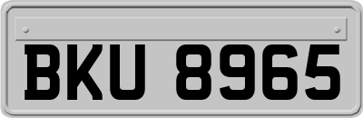 BKU8965