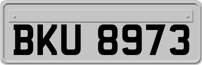 BKU8973