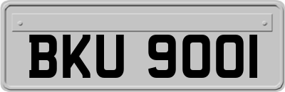 BKU9001