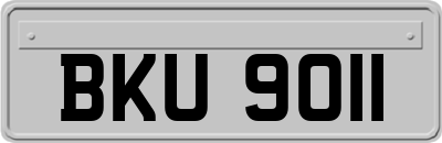 BKU9011