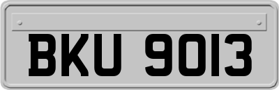 BKU9013