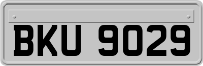 BKU9029