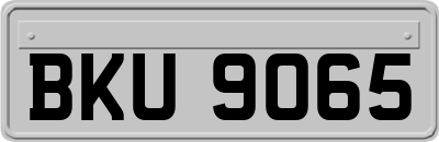 BKU9065