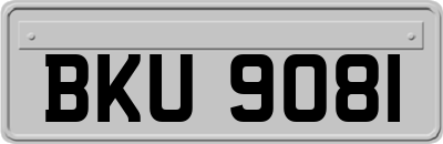 BKU9081