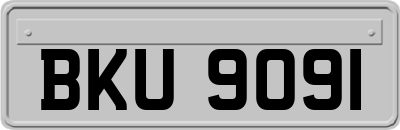 BKU9091