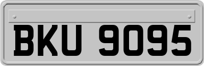 BKU9095