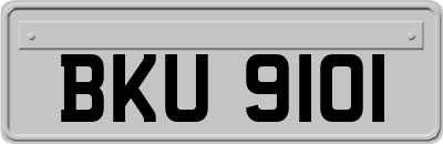BKU9101