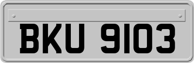 BKU9103