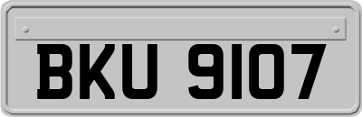 BKU9107