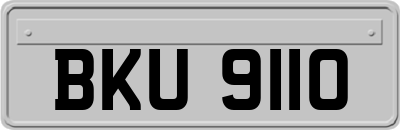 BKU9110