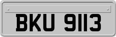 BKU9113