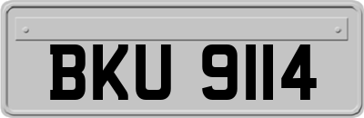 BKU9114