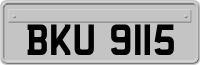 BKU9115