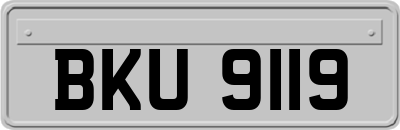 BKU9119