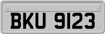 BKU9123
