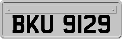 BKU9129