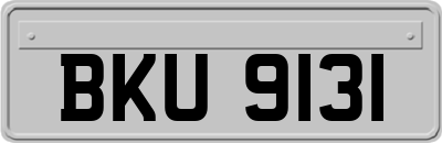 BKU9131