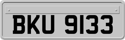 BKU9133