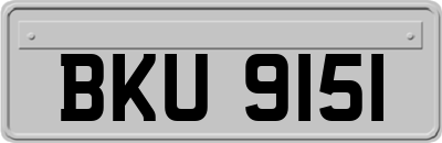 BKU9151