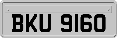 BKU9160