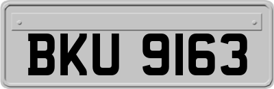 BKU9163