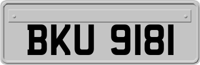 BKU9181