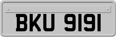BKU9191
