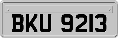BKU9213