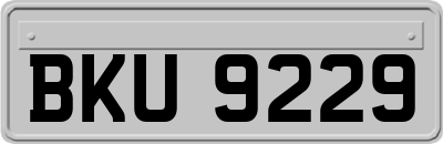 BKU9229