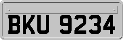 BKU9234