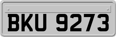 BKU9273