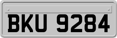 BKU9284