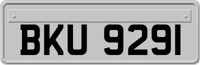 BKU9291