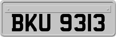 BKU9313