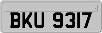 BKU9317