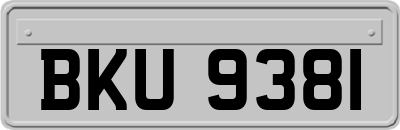 BKU9381
