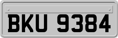 BKU9384